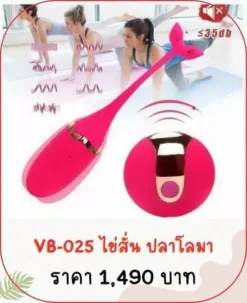 vibrator-VB-025